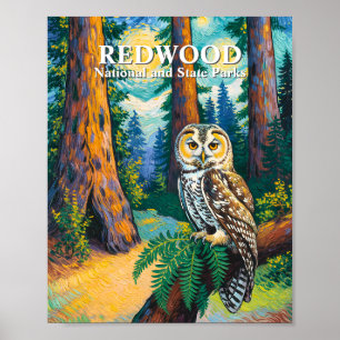 Redwood-Nationalpark Wald Eule Van Gogh Stil Poster