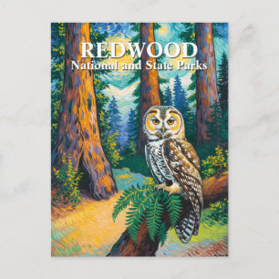 Redwood-Nationalpark Wald Eule Van-Gogh-Stil Postkarte