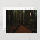 Redwood Paradise Postkarte (Vorne/Hinten)