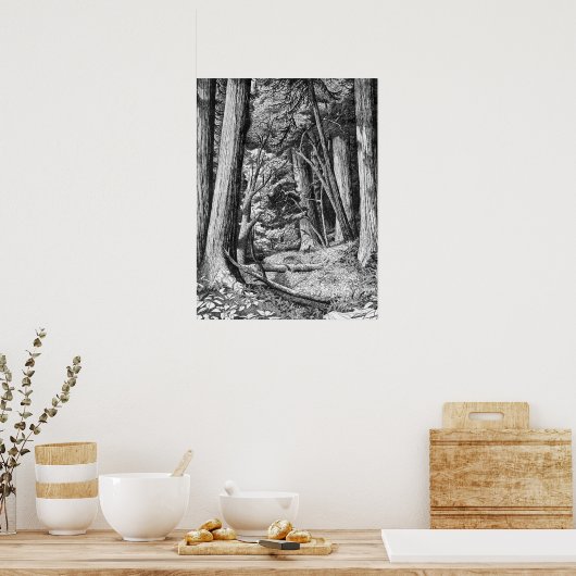 Redwood Park Poster (Küche)