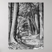 Redwood Park Poster (Vorne)