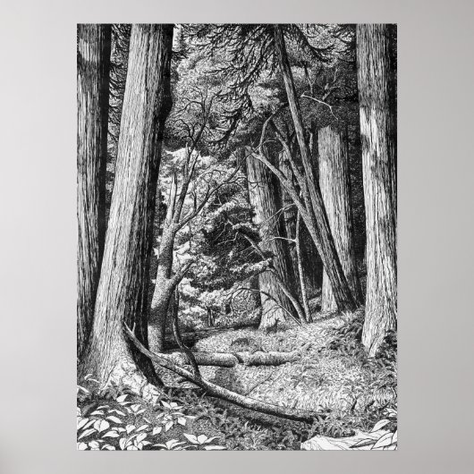 Redwood Park Poster (Vorne)