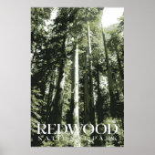 Redwood Poster, Nationalpark Print Poster (Vorne)