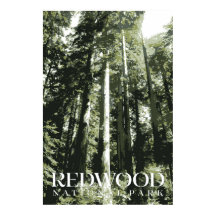 Redwood Poster, Nationalpark Print