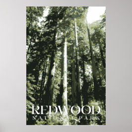 Redwood Poster, Nationalpark Print Poster