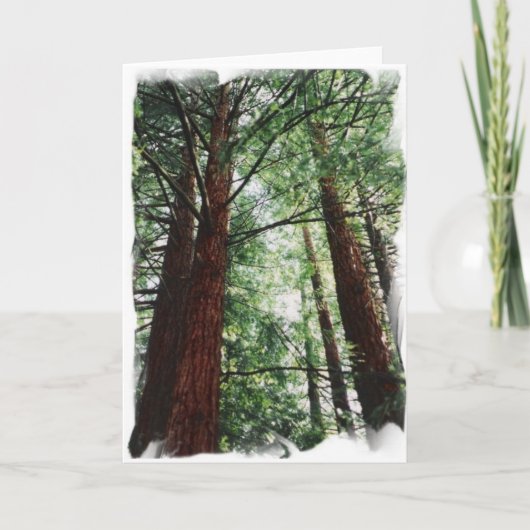 Redwood Sky Karte (Vorderseite)