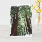 Redwood Sky Karte (Gelbe Blume)