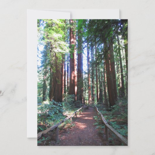 Redwood Trail Norther California Einladung (Vorderseite)