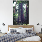 Redwood Trees #1 Leinwand (Insitu (Schlafzimmer))