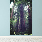 Redwood Trees #1 Leinwand (Insitu (Holzboden))