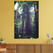 Redwood Trees #1 Leinwand (Insitu (Wohnzimmer))