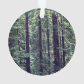 Redwood Trees #2 Ornament (Rückseite)