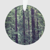 Redwood Trees #2 Ornament (Vorderseite)