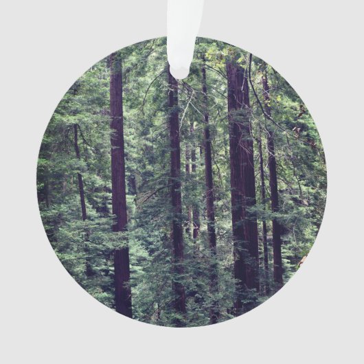 Redwood Trees #2 Ornament (Vorderseite)
