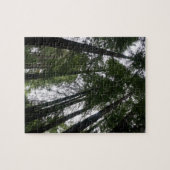 Redwood Trees #3 Jigsaw Puzzle (Horizontal)