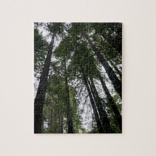 Redwood Trees #3 Jigsaw Puzzle (Vertikal)