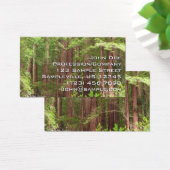 Redwood Trees at Muir Woods National Monument (Schreibtisch)