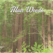 Redwood Trees at Muir Woods National Monument Aufkleber (Vorderseite)