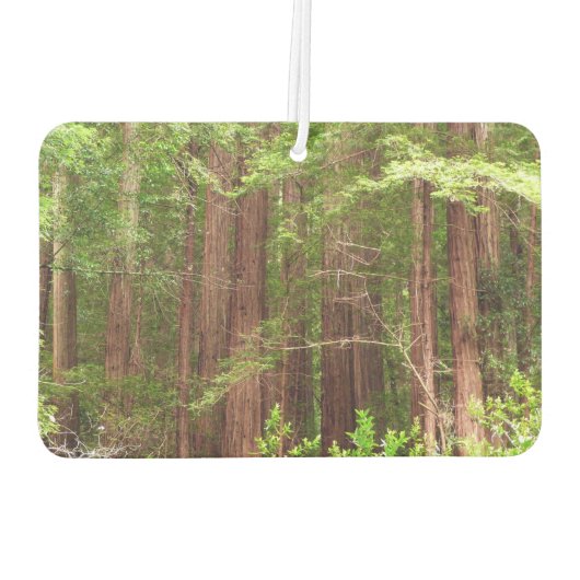 Redwood Trees at Muir Woods National Monument Autolufterfrischer (Rückseite)