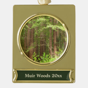 Redwood Trees at Muir Woods National Monument Banner-Ornament Gold