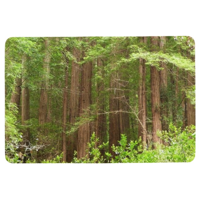Redwood Trees at Muir Woods National Monument Bodenmatte (Vorderseite)