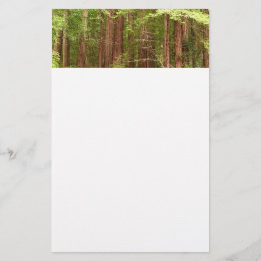 Redwood Trees at Muir Woods National Monument Briefpapier (Vorderseite)