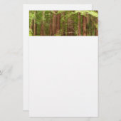 Redwood Trees at Muir Woods National Monument Briefpapier (Vorne/Hinten)