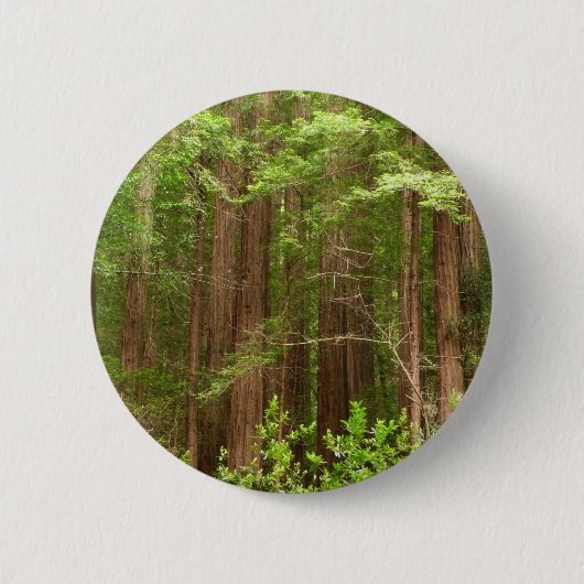 Redwood Trees at Muir Woods National Monument Button (Vorderseite)