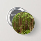Redwood Trees at Muir Woods National Monument Button (Vorne & Hinten)