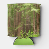 Redwood Trees at Muir Woods National Monument Dosenkühler (Vorderseite)