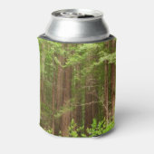 Redwood Trees at Muir Woods National Monument Dosenkühler (Kanne Rückseite)