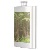 Redwood Trees at Muir Woods National Monument Flachmann (Links)