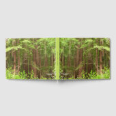 Redwood Trees at Muir Woods National Monument Gästebuch (Voll)