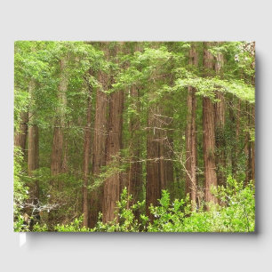 Redwood Trees at Muir Woods National Monument Gästebuch