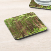 Redwood Trees at Muir Woods National Monument Getränkeuntersetzer (Linke Seite)