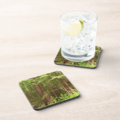 Redwood Trees at Muir Woods National Monument Getränkeuntersetzer (Rechte Seite)