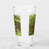 Redwood Trees at Muir Woods National Monument Glas (Links)