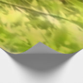 Redwood Trees at Muir Woods National Monument Holzposter (Ecke)