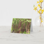 Redwood Trees at Muir Woods National Monument Karte (Gelbe Blume)