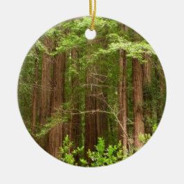Redwood Trees at Muir Woods National Monument Keramik Ornament