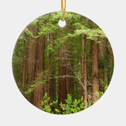 Redwood Trees at Muir Woods National Monument Keramik Ornament (Vorne)