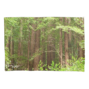 Redwood Trees at Muir Woods National Monument Kissenbezug