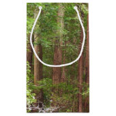 Redwood Trees at Muir Woods National Monument Kleine Geschenktüte (Rückseite)