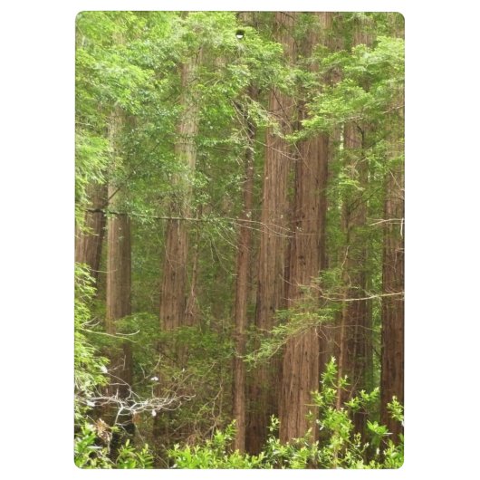 Redwood Trees at Muir Woods National Monument Klemmbrett (Rückseite)
