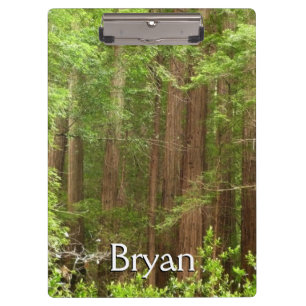 Redwood Trees at Muir Woods National Monument Klemmbrett