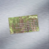 Redwood Trees at Muir Woods National Monument Magnetische Visitenkarte (Beispiel)