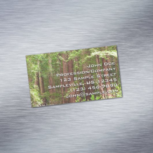 Redwood Trees at Muir Woods National Monument Magnetische Visitenkarte (Beispiel)