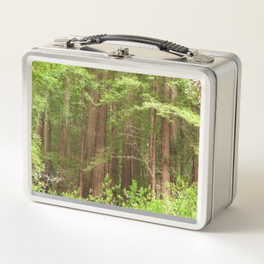 Redwood Trees at Muir Woods National Monument Metall Brotdose (Vorderseite)