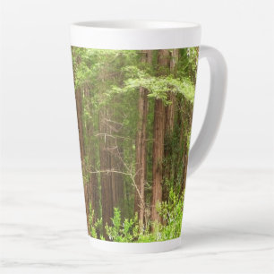 Redwood Trees at Muir Woods National Monument Milchtasse