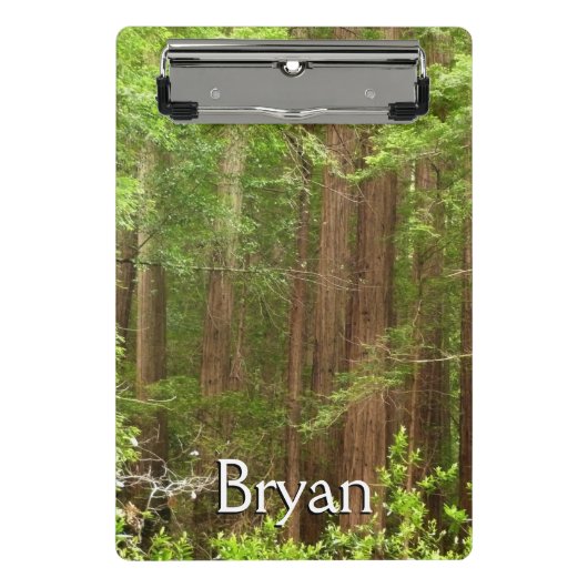 Redwood Trees at Muir Woods National Monument Mini Klemmbrett (Vorderseite)